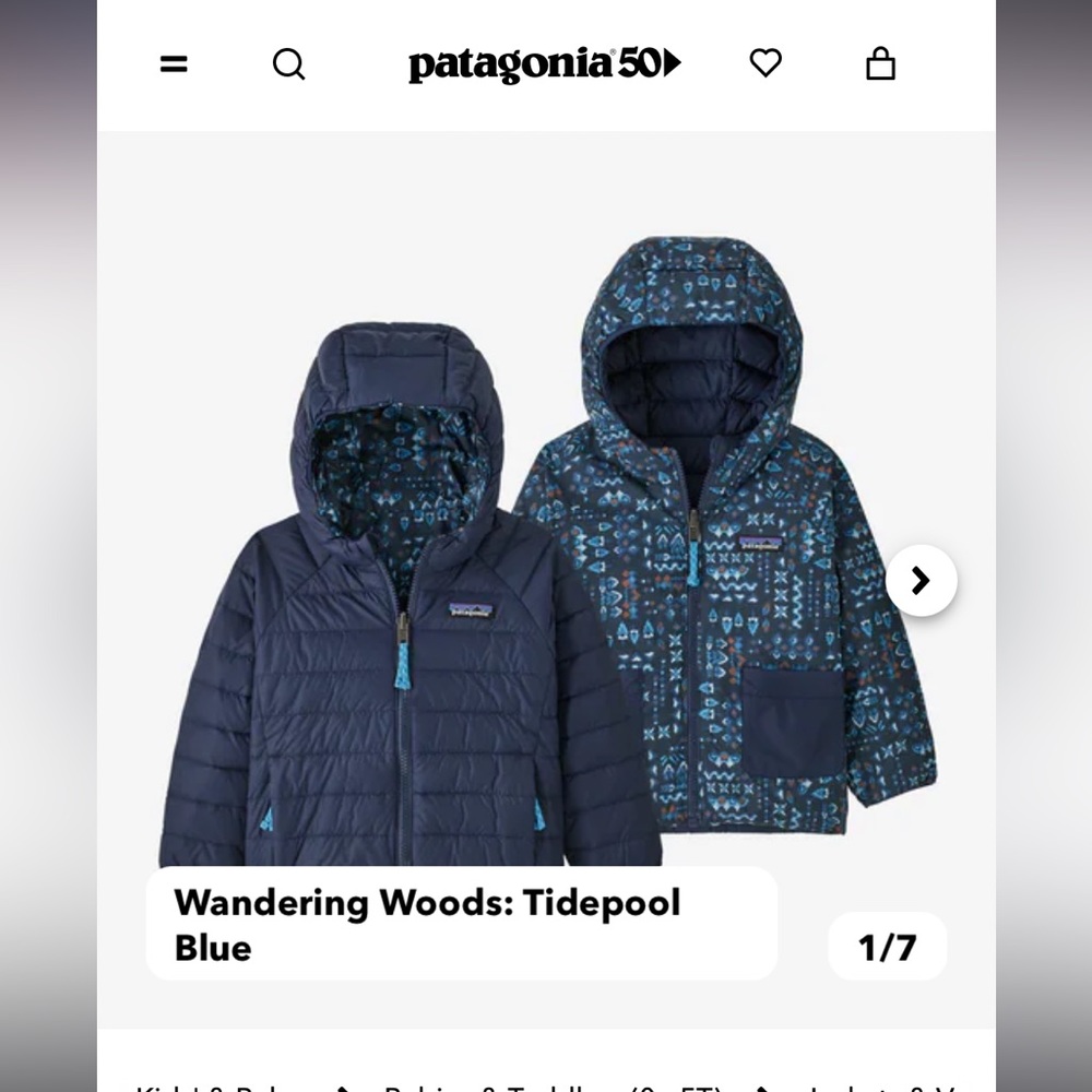 Patagonia Reversible Toddler Hoodie